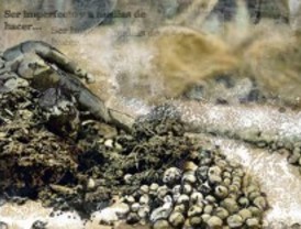 Valdemoro reúne en una exposición a ocho artistas emergentes