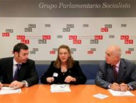 Los ayuntamientos del PSOE financiarán la Asociación 11-M
