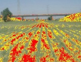 Agricultura de Precisión