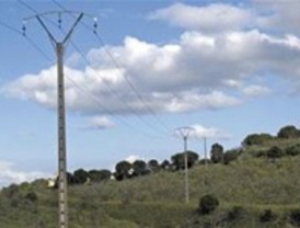 Iberdrola elimina un punto negro del monte de Batres en el que se electrocutaban aves rapaces