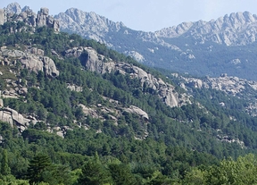Hallan en La Pedriza un cuerpo en avanzado estado de descomposición