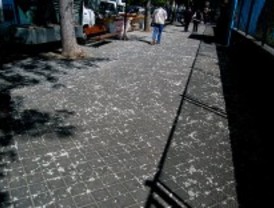 La alergia golpeará menos este año