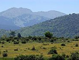 Ecologistas y vecinos se concentrarán en defensa de los bosques madrileños