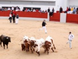 Accidentados encierros en Arganda y Parla