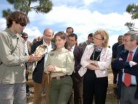 Se instalan madrigueras para recuperar las rapaces en Sevilla la Nueva