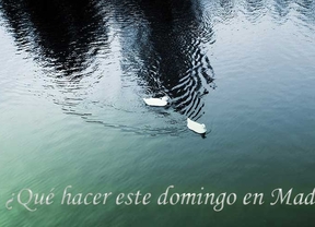 Agenda de cultura del domingo.