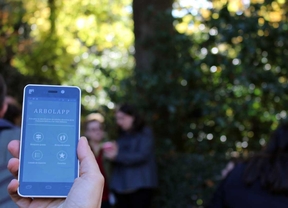 El CSIC lanza Arbolapp, una 'app' gratuita para identificar árboles