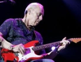 Mark Knopfler actuará en julio en Las Ventas