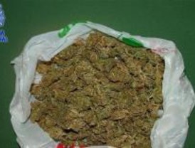 La policía ha incautado trece kilos de marihuana en una tienda de Alcorcón