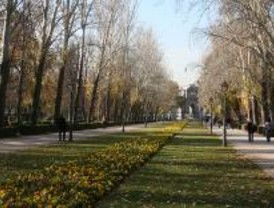 Casi 300.000 participantes para la Human Race