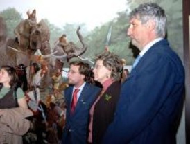 La cultura vettona se muestra en el Museo Arqueológico de Alcalá de Henares