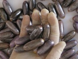 Cae una red de 'correos humanos' que ingerían hachis para traerlo a Madrid