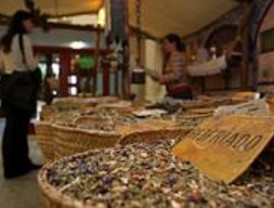 La Feria Biocultura abrirá sus puertas este jueves
