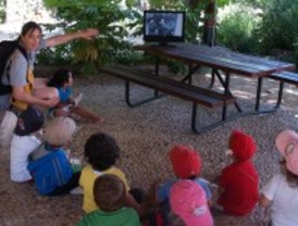 Nacen nueve carboneros en el Aula de Educación Ambiental de Pozuelo