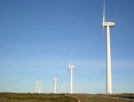 Efectos nocivos de los parques eólicos