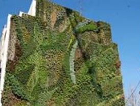 El jardín vertical del paseo del Prado