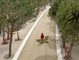 50,83 millones para cuidar Madrid Río