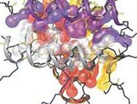 El CSIC encuentra datos novedosos sobre el origen de la vida