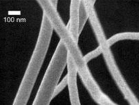 El futuro de la ciencia es el 'nanomundo'