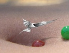 'Un paseo por la inopia' en Tetuán