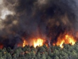 Asociaciones ecologistas piden a González que no despilfarre en reforestaciones innecesarias