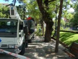 Más de sesenta calles se verán afectadas con cortes de tráfico por trabajos de arbolado
