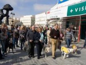 Los invidentes reivindican a los 'perros-guía'