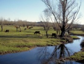 Juegos y diversión en Guadarrama antes de la vuelta al cole