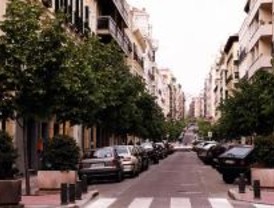 Trece distritos se verán afectados por el Plan de Gestión del Arbolado
