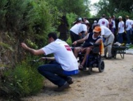 Voluntarios y adultos con discapacidad de Pozuelo crean un jardín vertical