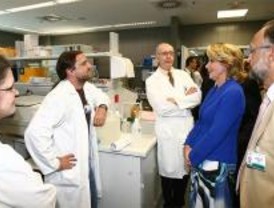 El Hospital de Majadahonda crea un equipo de investigación sobre el cáncer