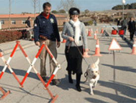 La ONCE entregó perros guía a 26 madrileños en 2007