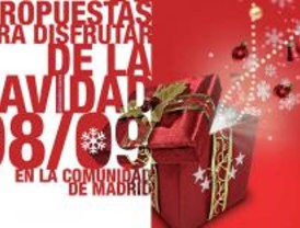 Más de 800 propuestas para pasar la Navidad en la región