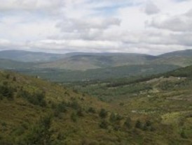 Alerta amarilla en la Sierra por fuertes vientos