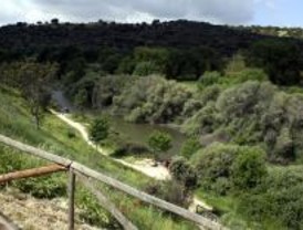 El PSOE presenta alegaciones a una obra municipal en el Monte de El Pardo