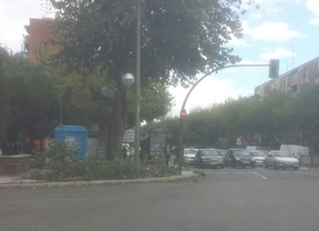 Cae una rama en Marqués de Corbera en una noche con múltiples incidencias por la lluvia