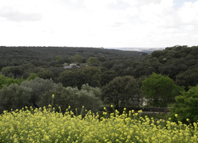 Un millón de euros para adecuar el Cuartel de la Zarzuela