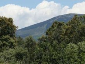 La senda de la Rinconada se celebrará con una marcha por la Sierra del Rincón