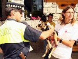 La región batió un 'récord histórico' en adopción mascotas en 2007