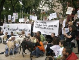 Un centenar de personas piden erradicar la caza con galgos en España