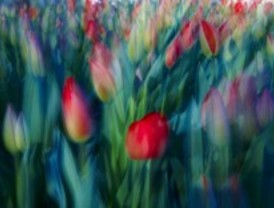 Primavera al cuadrado en el Espacio de las Artes