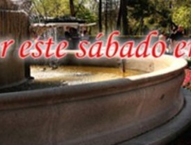 ¿Qué hacer este sábado, 6 de noviembre?