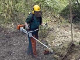 24 jóvenes en riesgo de exclusión aprenden a prevenir incendios