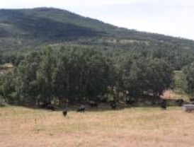 Este miércoles se aprueba el PORN de Guadarrama