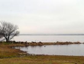IU pide que la Mesa del Agua esté representada en los órganos de decisión
