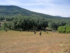 Nuevo servicio del portal turístico de la Sierra de Guadarrama para captar visitantes