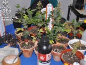 Cae el garaje de la droga