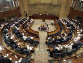 Los diputados de la Asamblea renuncian a la paga extra de Navidad