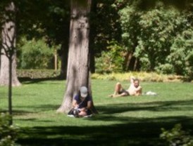 El Retiro acogería el voley playa de Madrid 2020