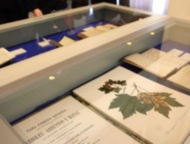 Un botánico alemán en España
